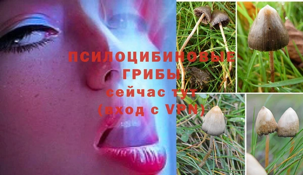 бутик Алзамай