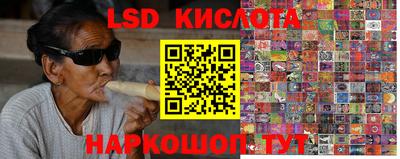 индика Бердск