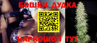 индика Бердск
